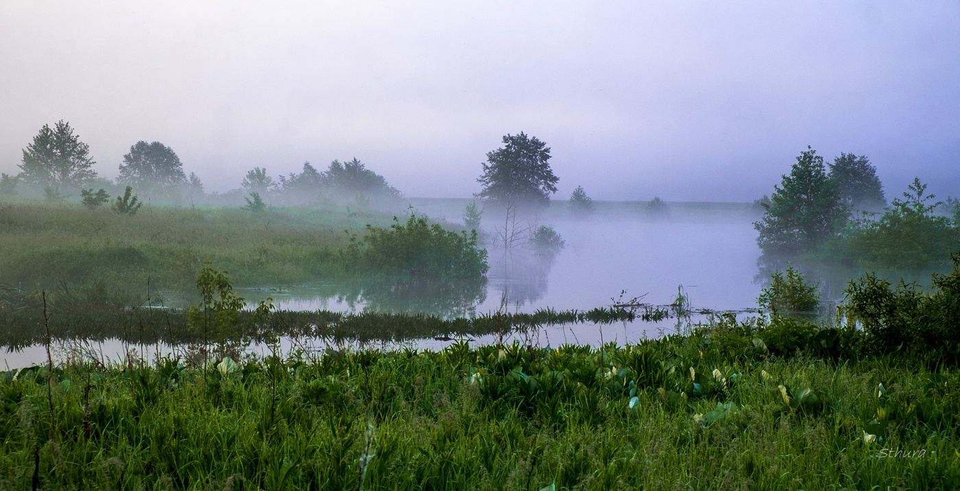 Туманное утро.