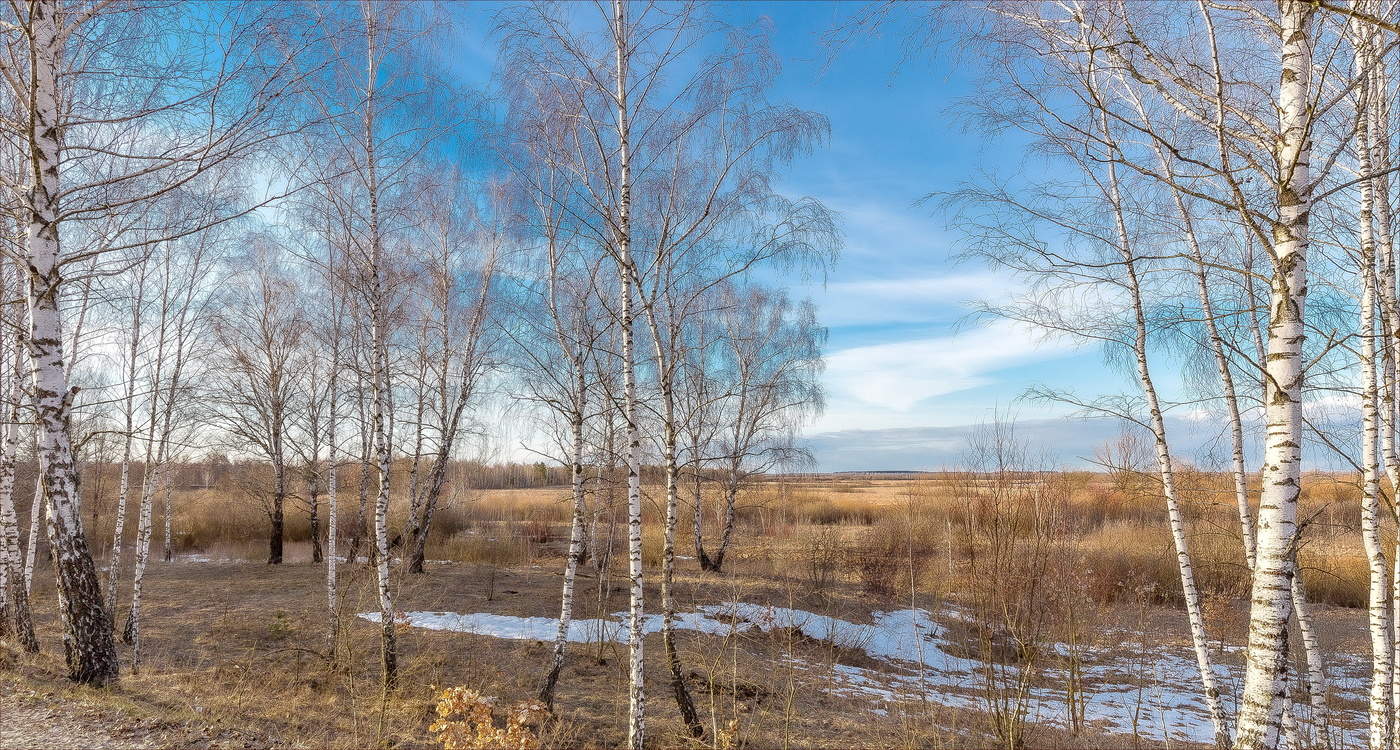 Синевой поражая нас нежной...