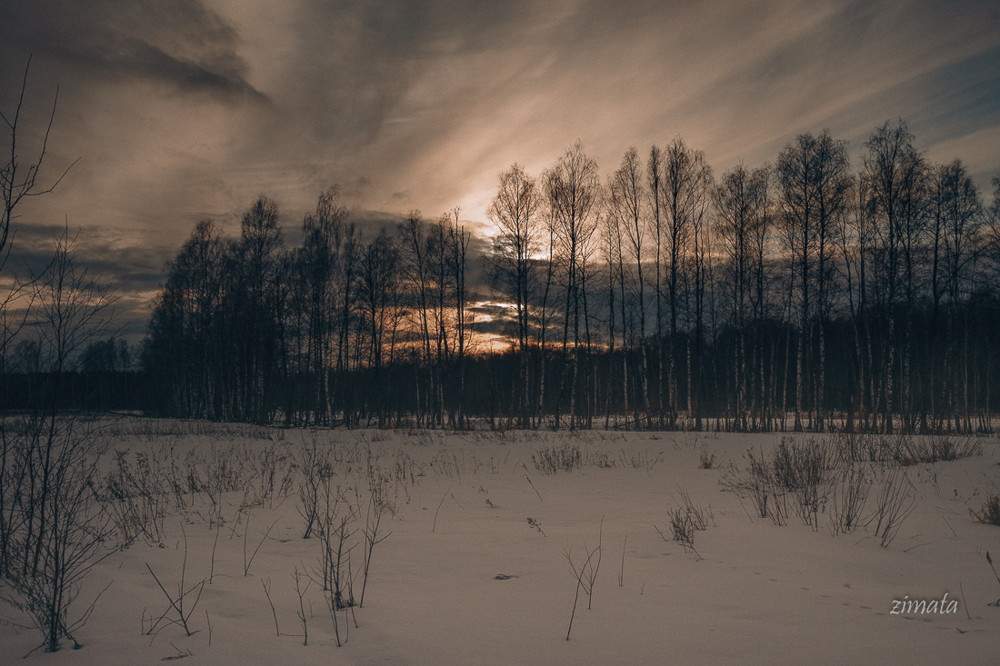 Весенние лучи