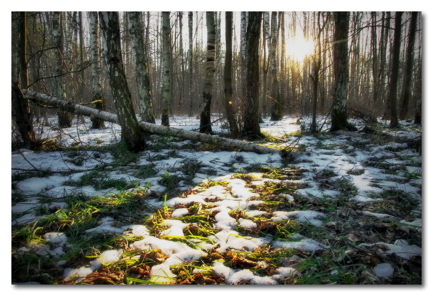 Весенние лучи