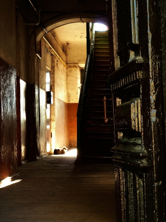 Весенние лучи