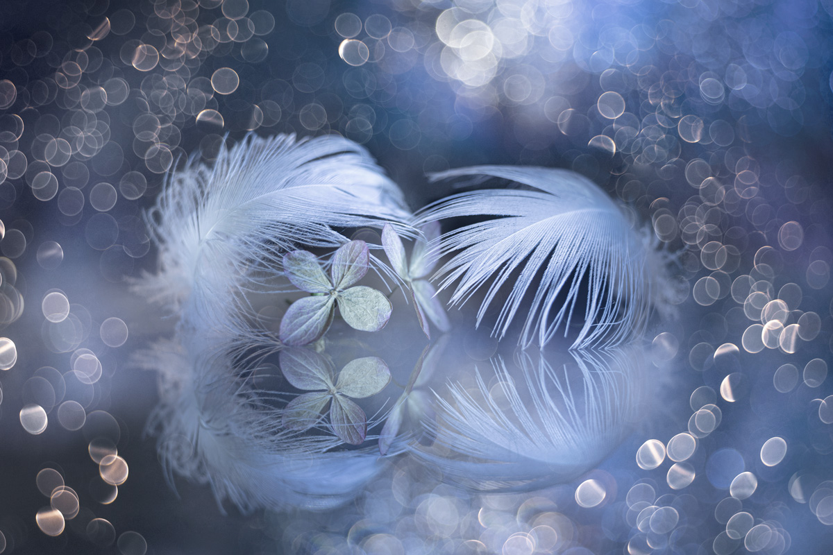 Прикосновение...