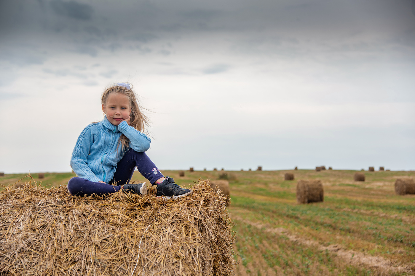 Поле с рулонами