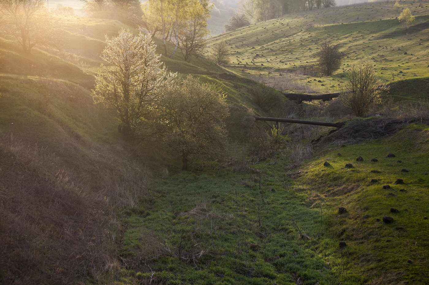 Весенние лучи