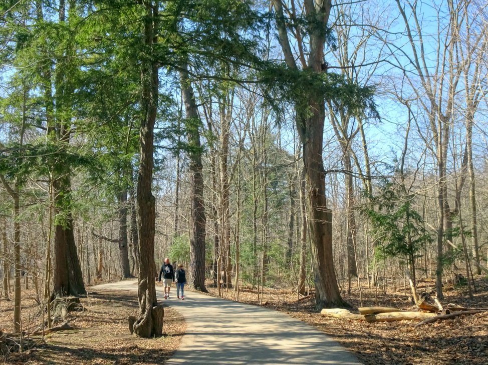 Весенние лучи