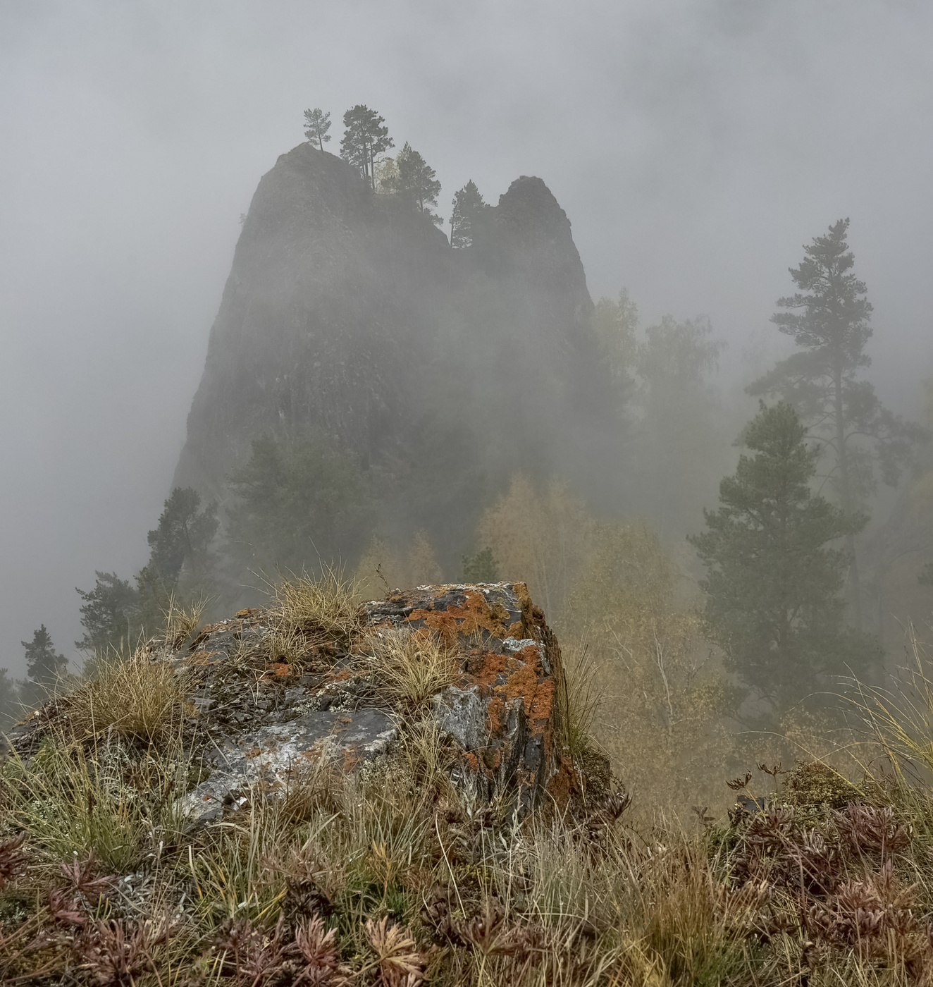 Иглы в тумане.