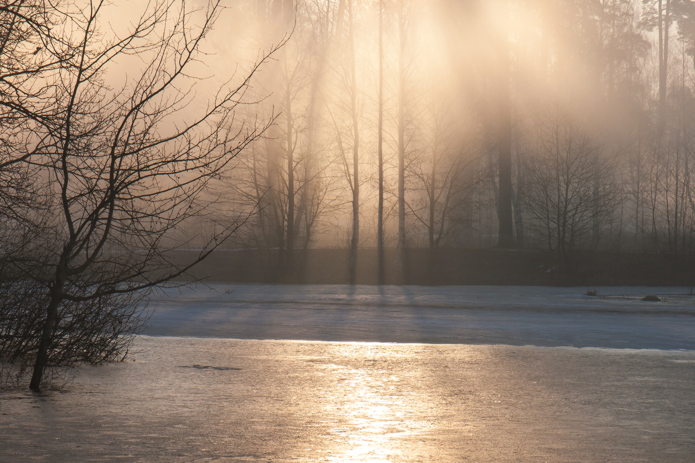 Весенние лучи