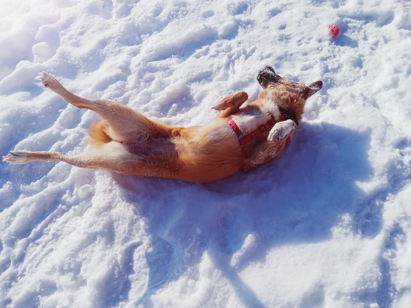 Весенние лучи