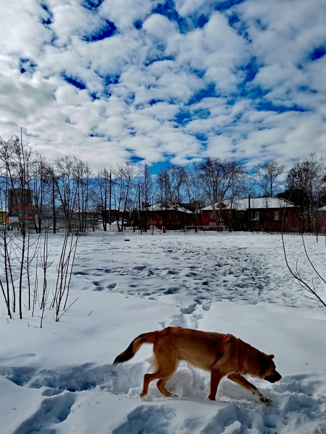 Настроение.