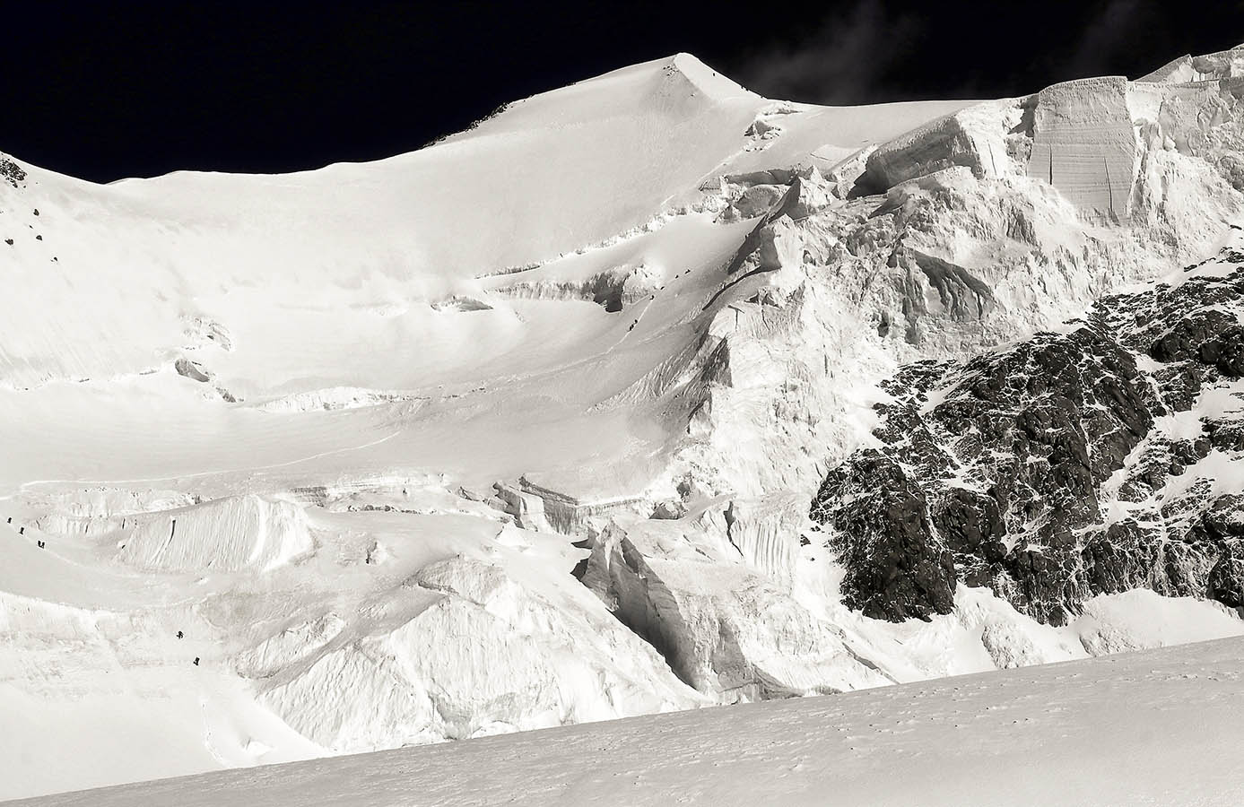 Белуха Восточная