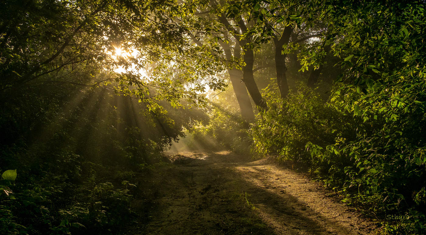 По утренней дороге.