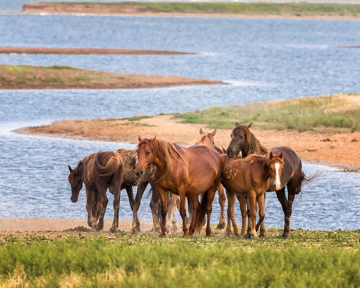 На острове Водный