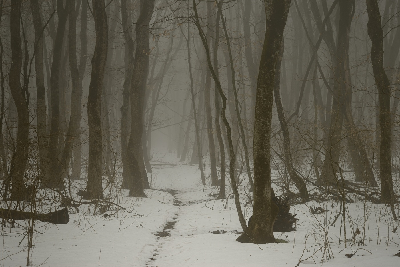 Туманный март