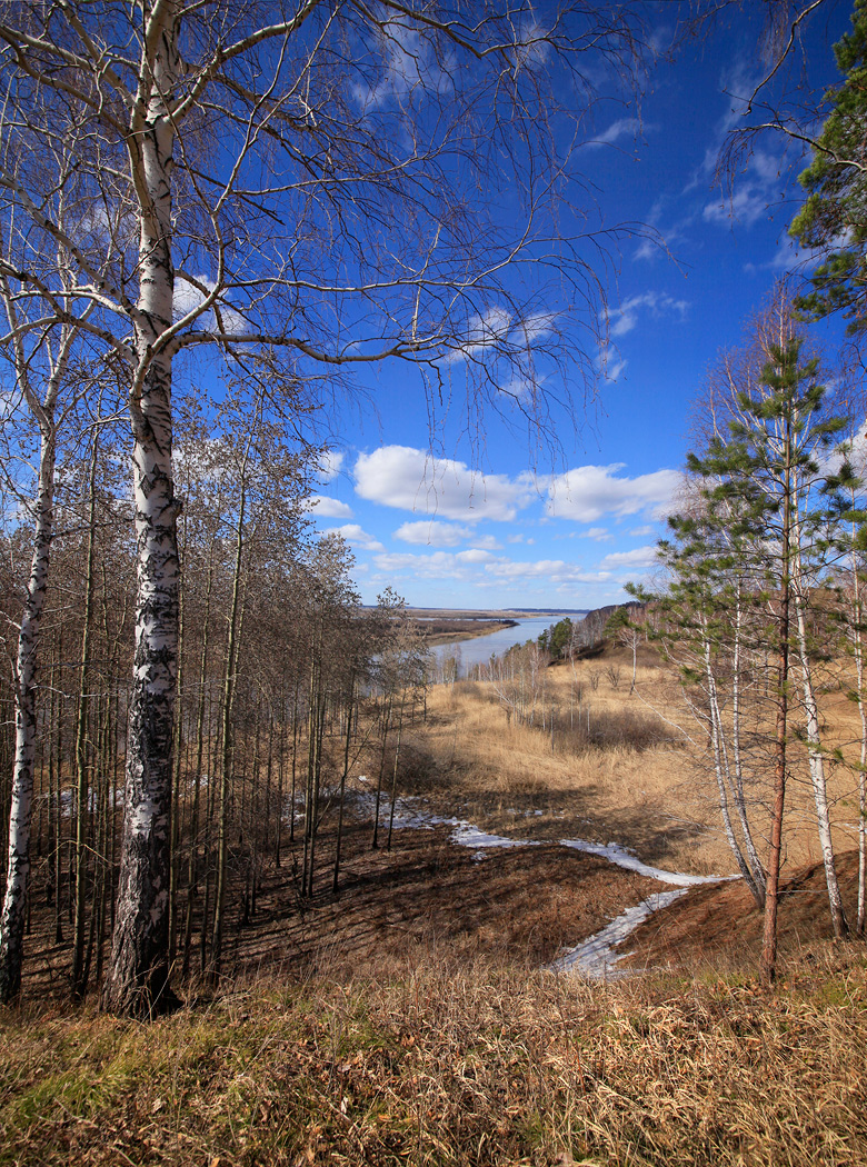 Апрельская...