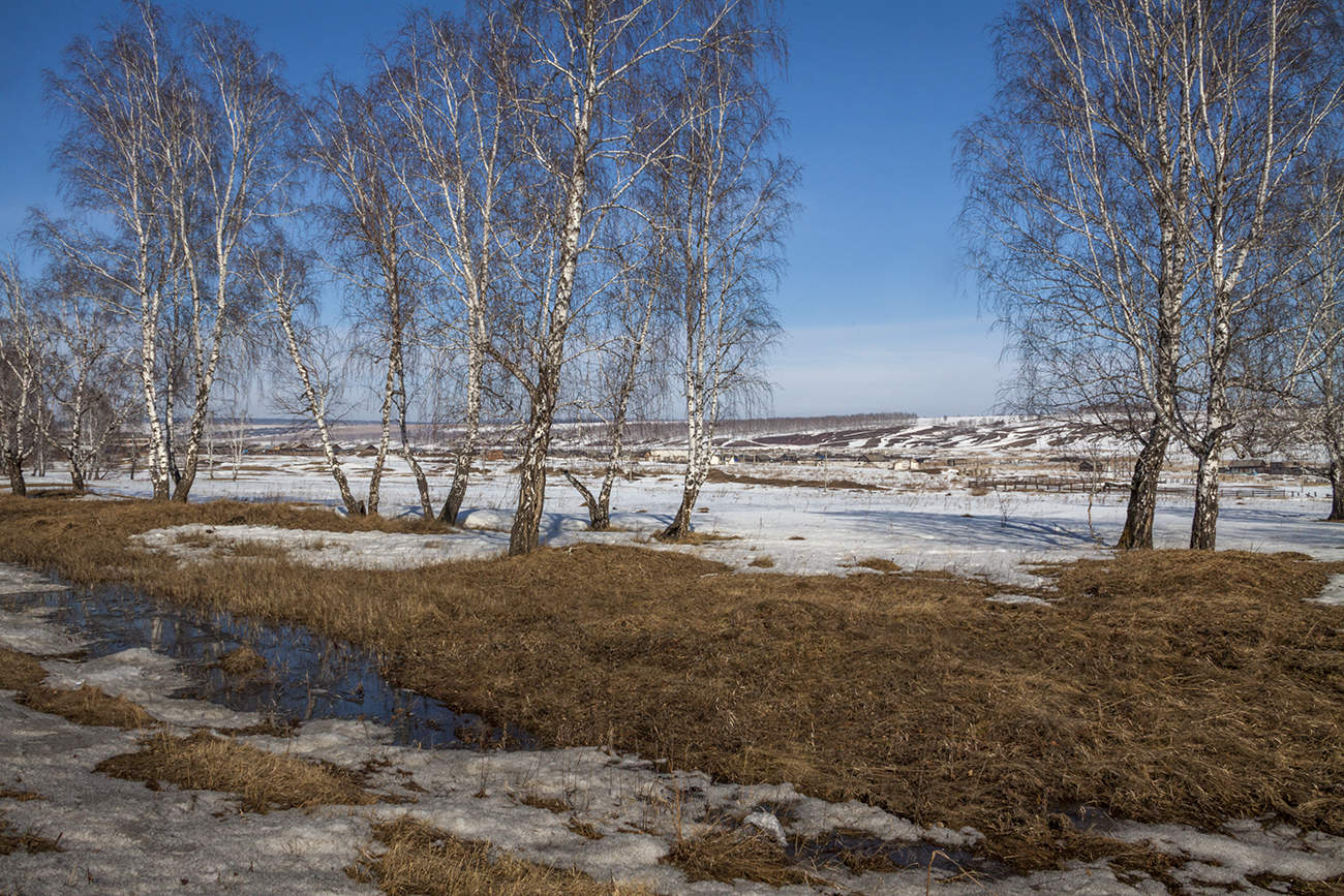 Запах весны