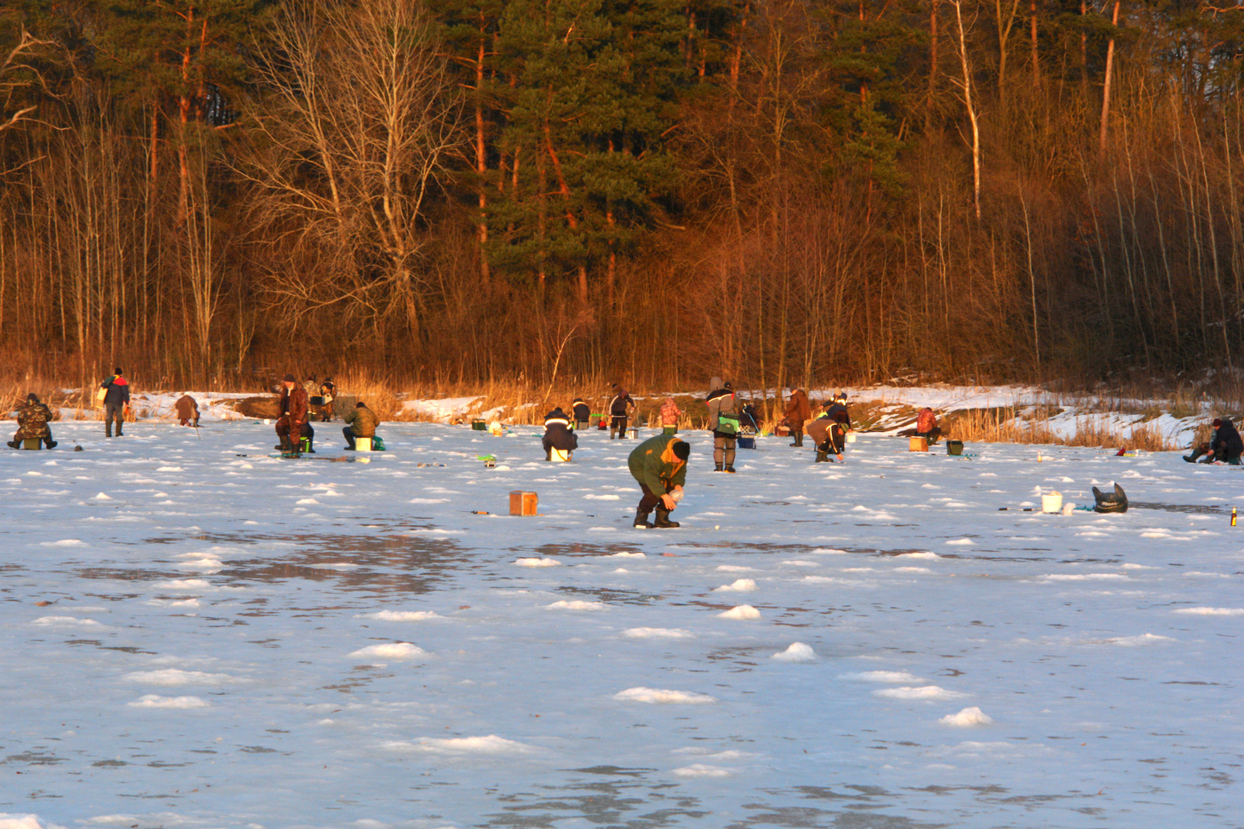Вечерний клеа