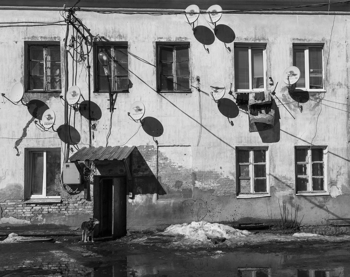 "Родимые пятна" или лапша - любимое блюдо