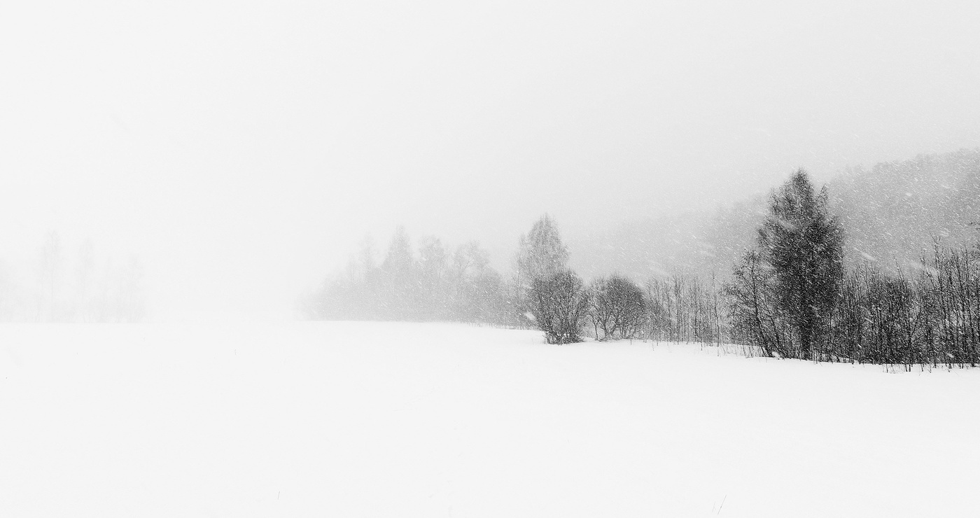 "Опять метель: две вечности сошлись в один короткий день..."