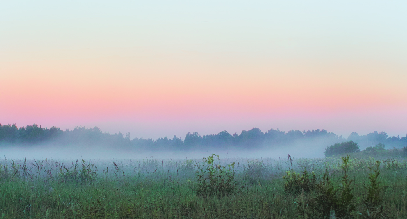 Нежность рассвета