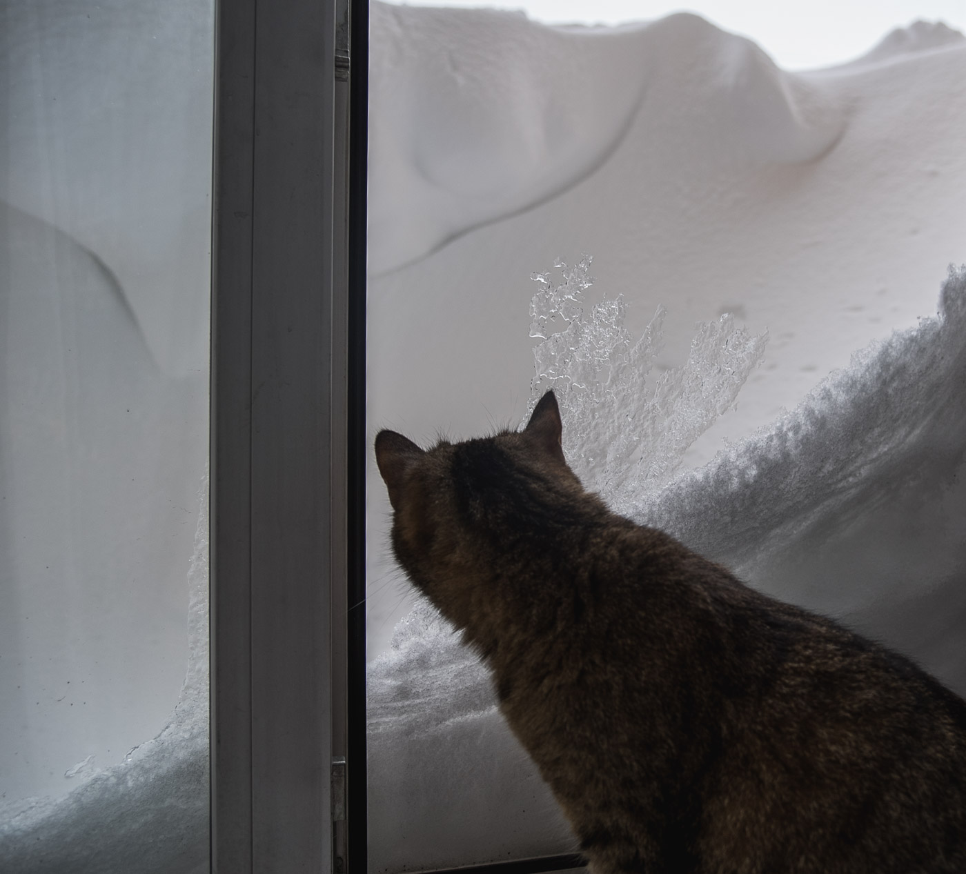 Замуровали, демоны...