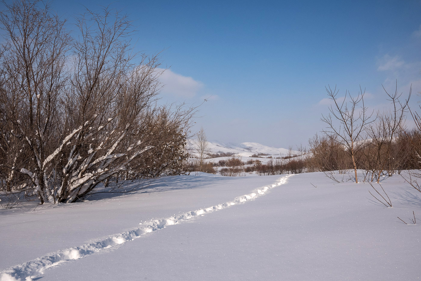 Следы на снегу