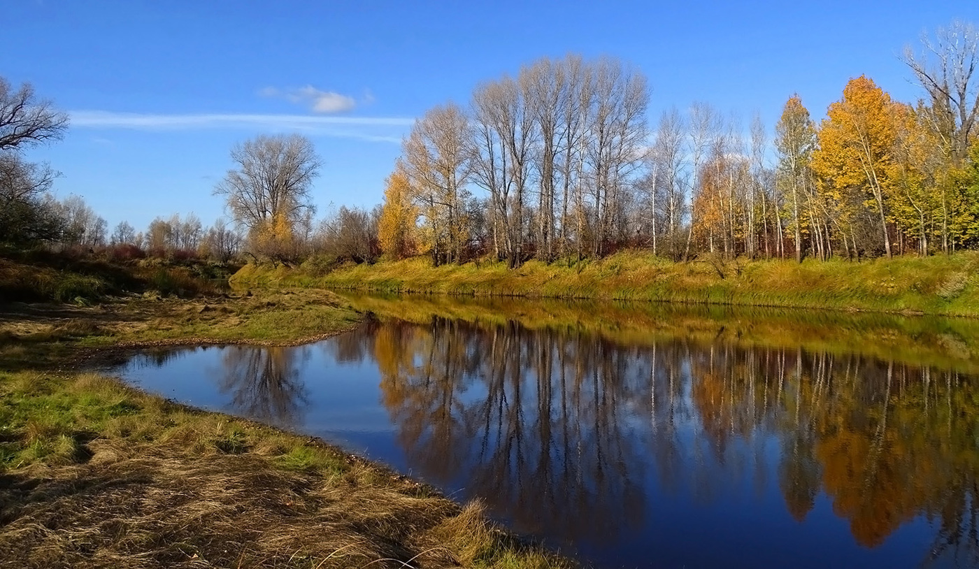 Осенняя пора...