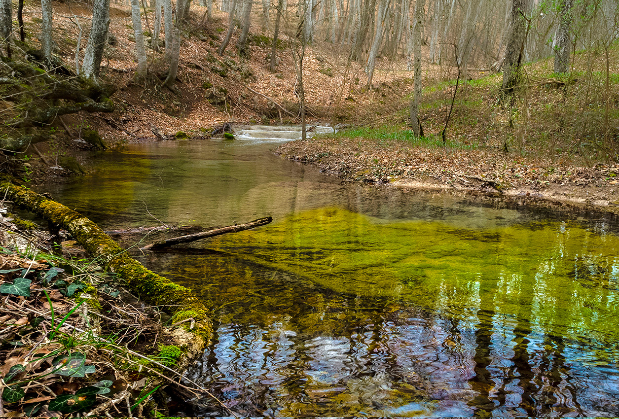 Текут ручьи.