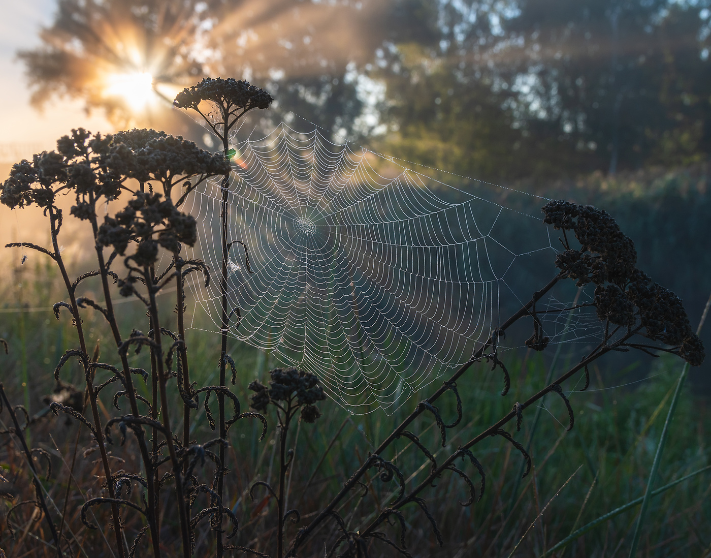 Одним летним утром