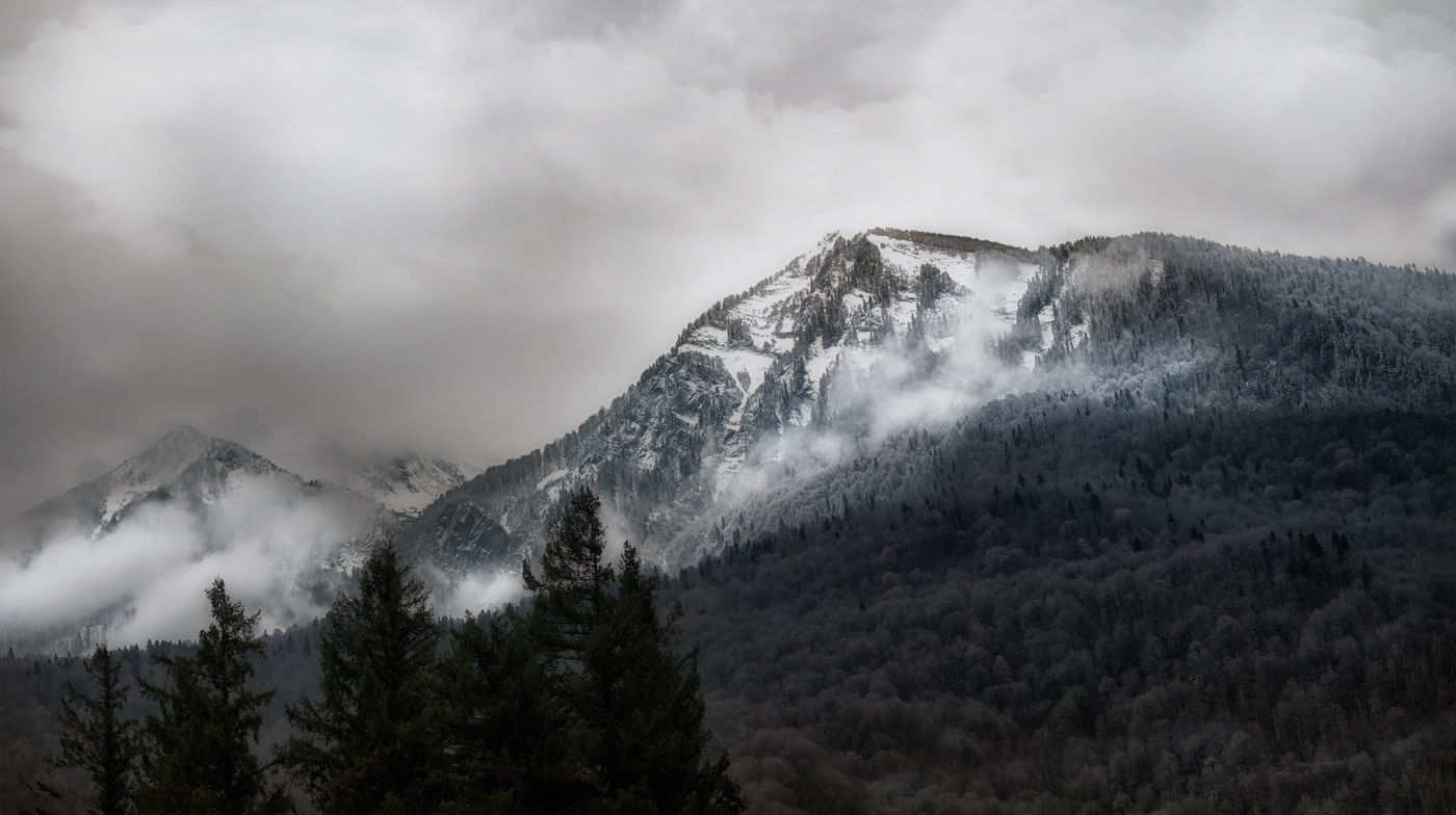 Одно из оснований хребта Ачи шхо.(горный козёл)