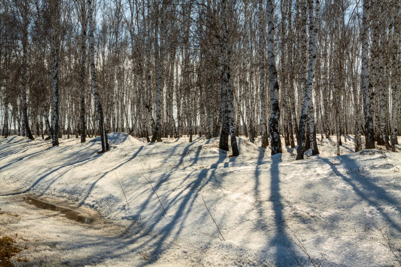 Тёплый снег весны