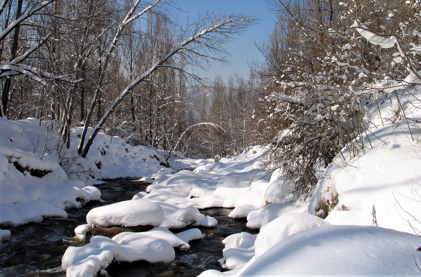 И всё таки весна