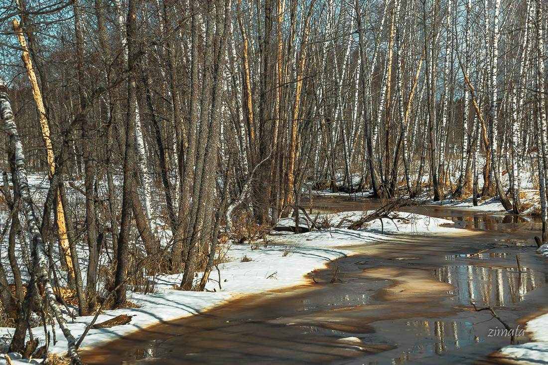 река вскрывается