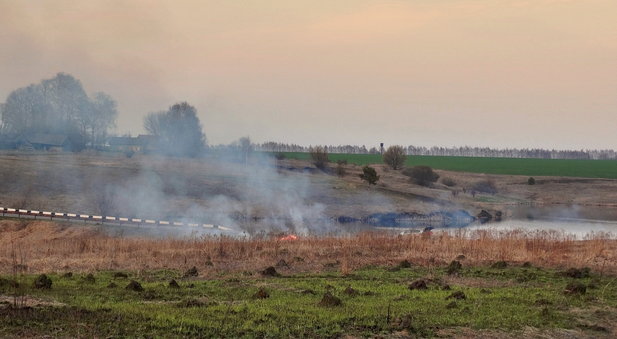 Признаки весны