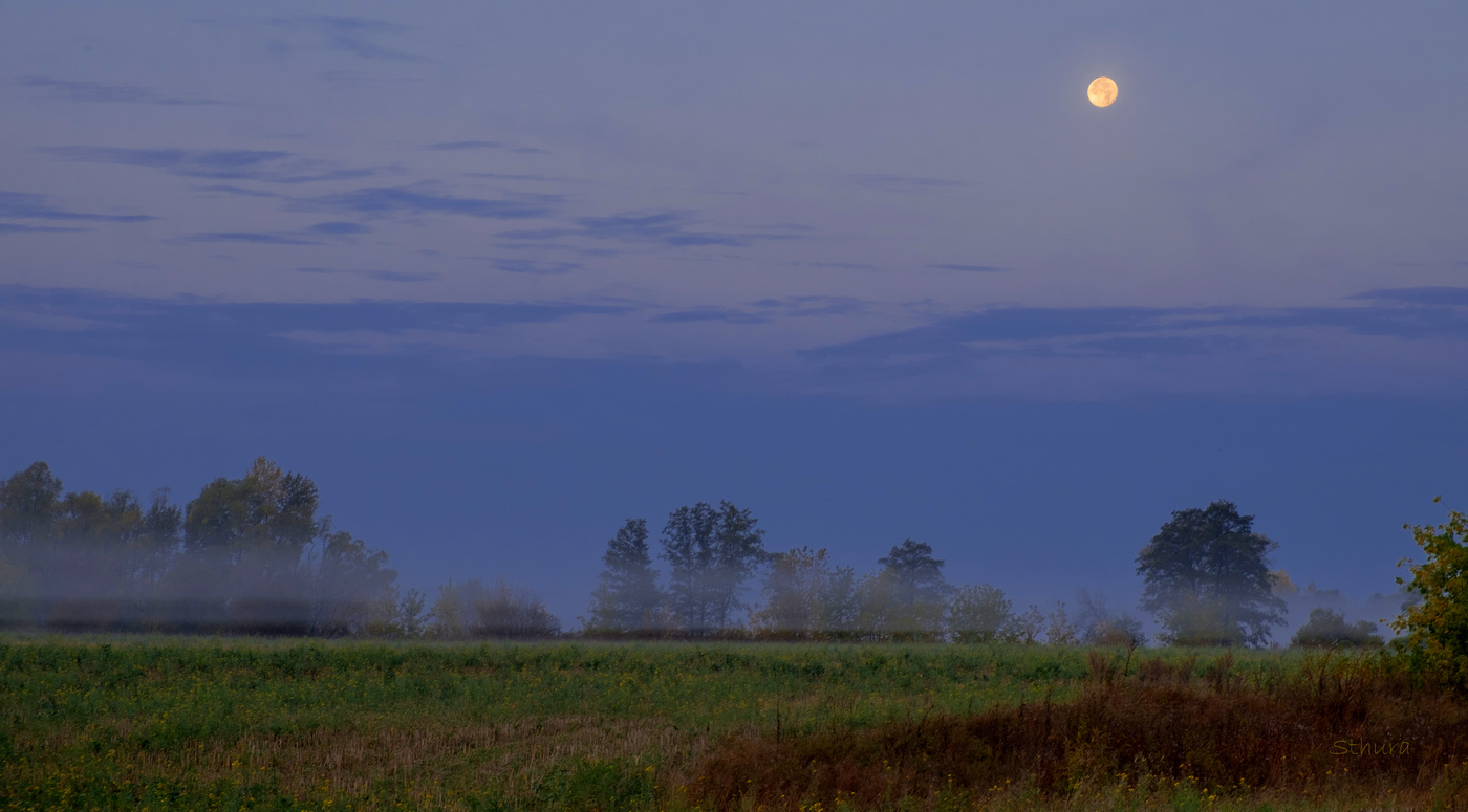 Лунное утро.