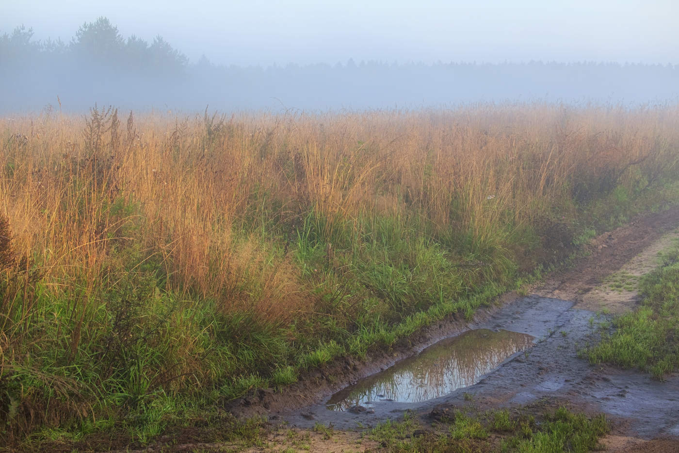 Осенняя дорога