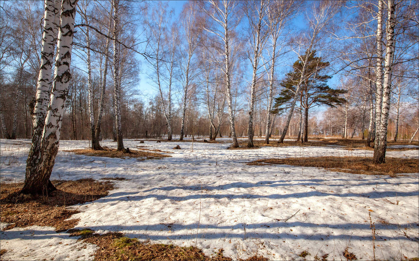 Проталины...