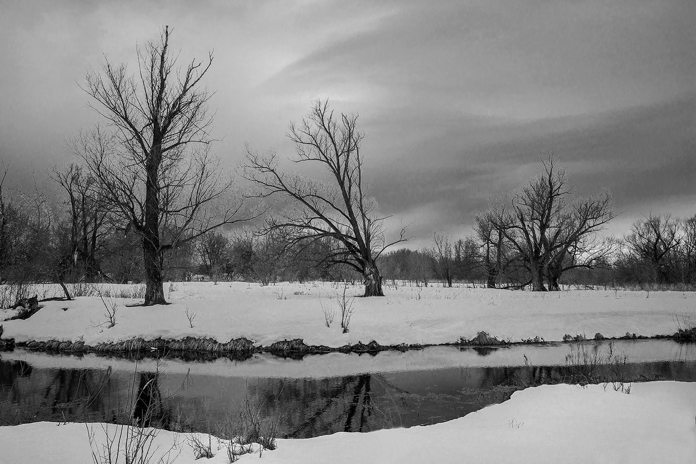 Ранняя весна...