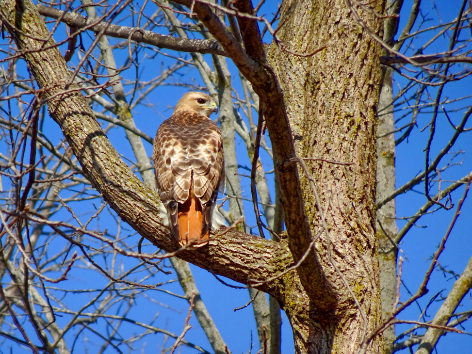 не стой у меня за спиной!