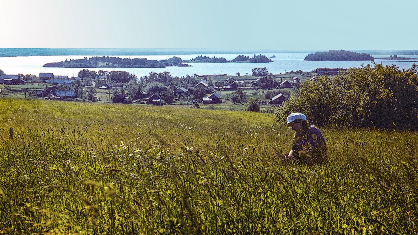 На берегу Шексны