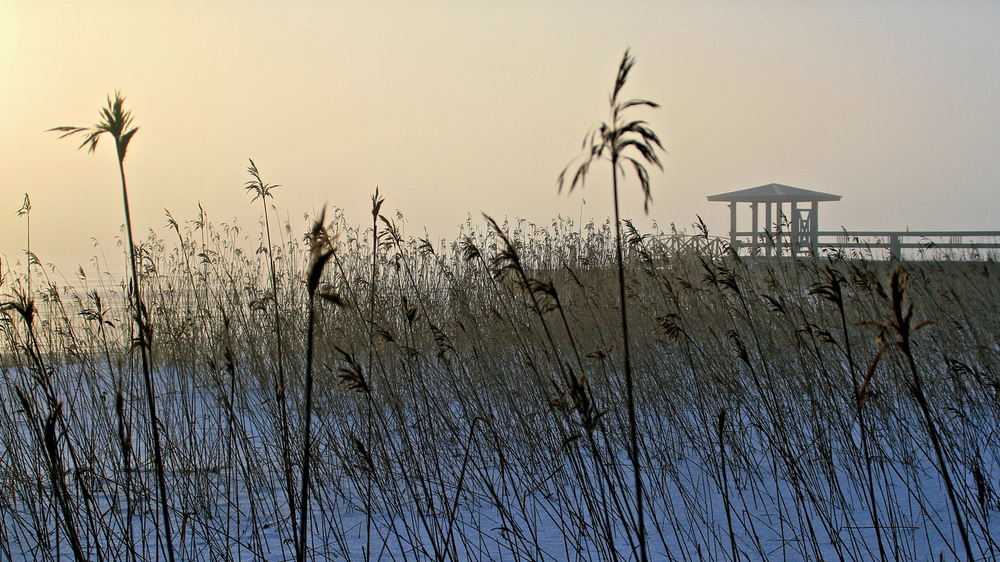 Зимнее утро