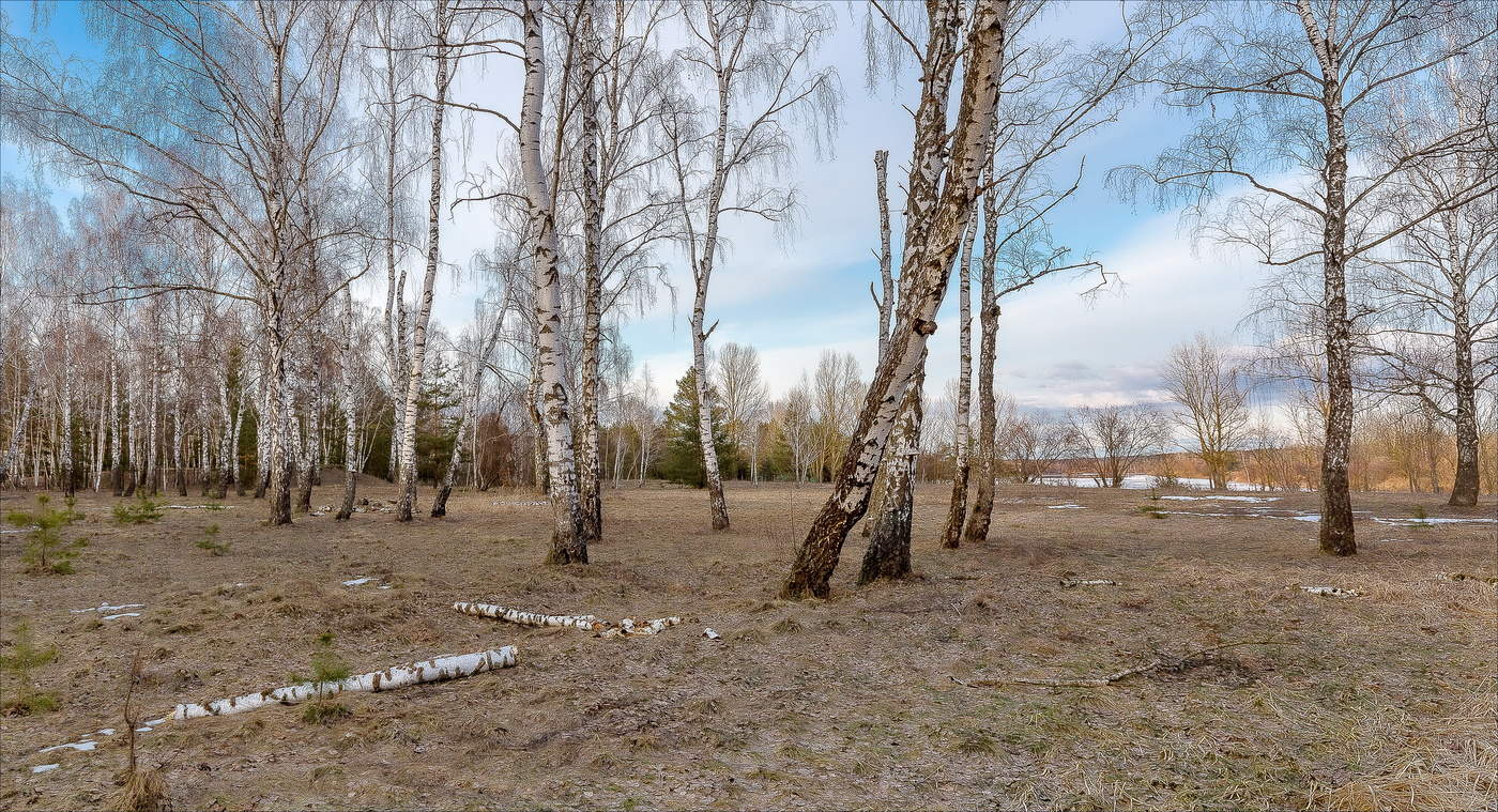 Весна пришла и раны заживают...