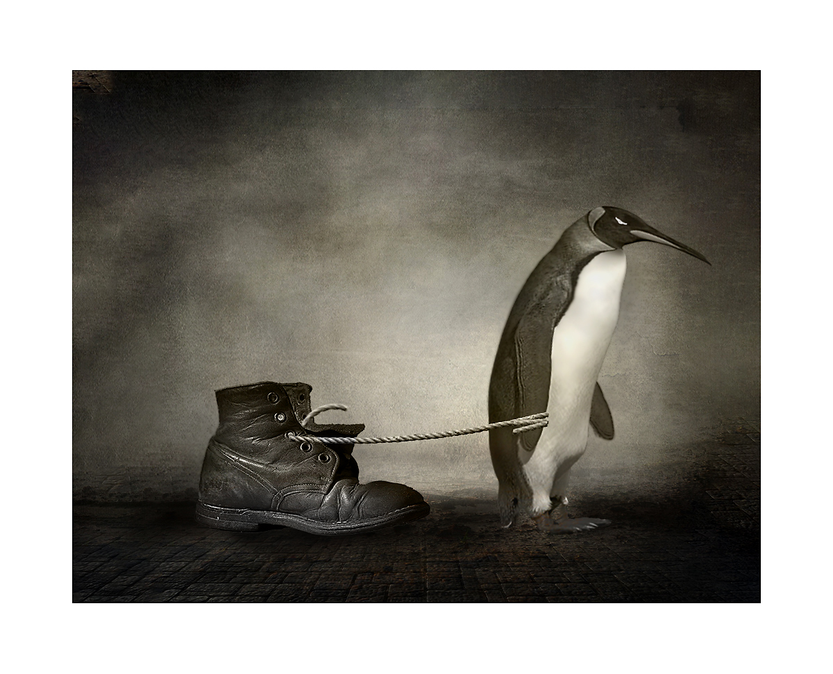 жене подарю (всё в дом)