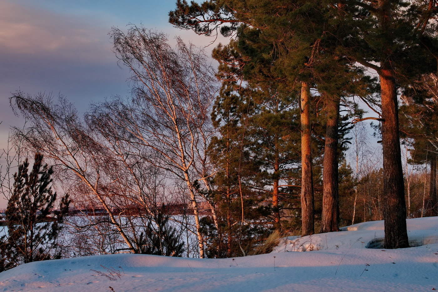 Апрельский вечер.