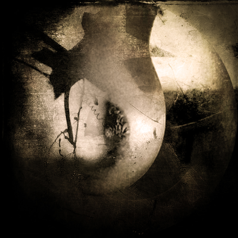 Новая жизнь