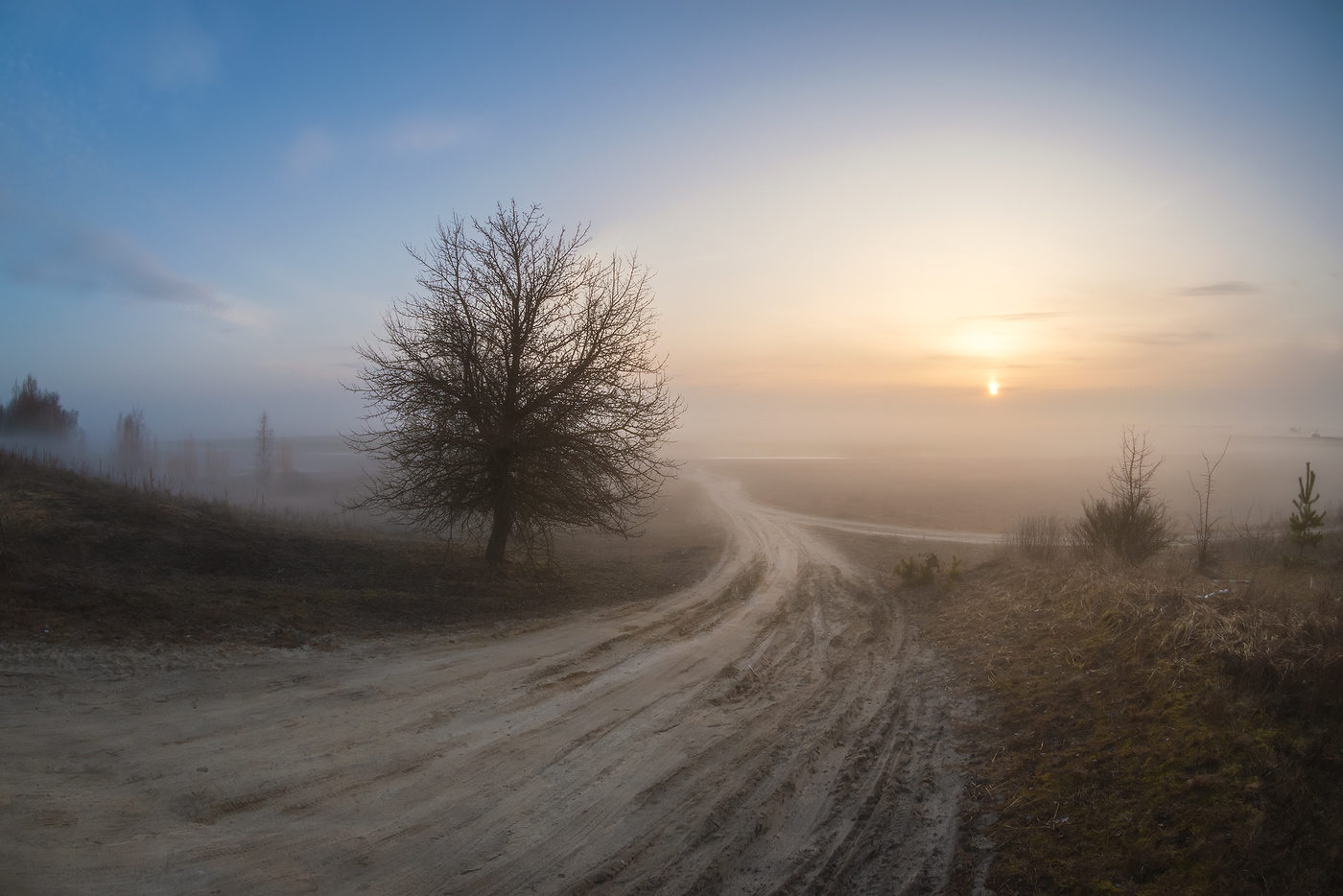 По дороге в новый день
