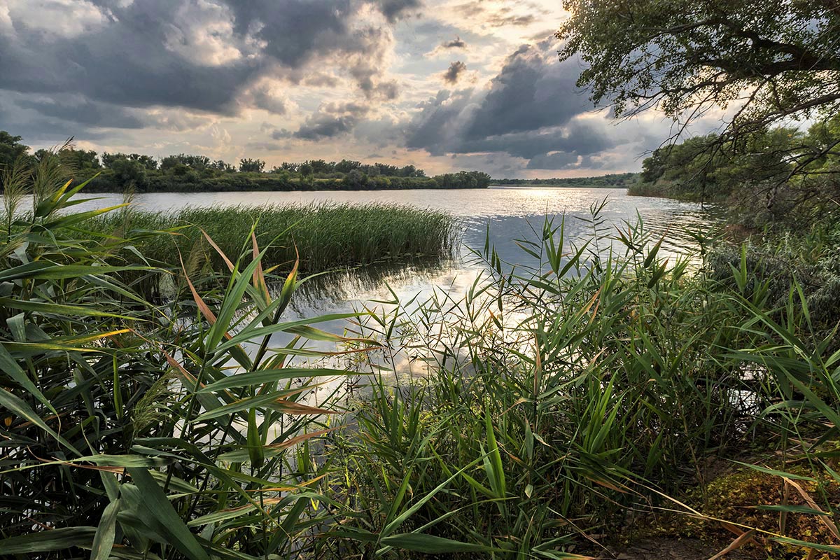 Клевое местечко