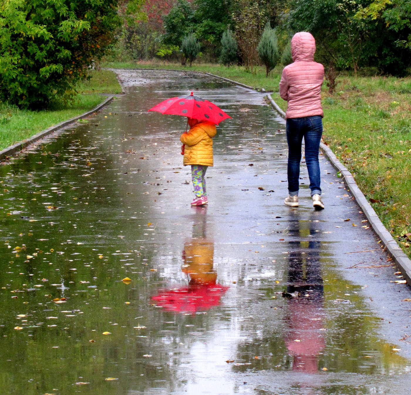 Новая жизнь