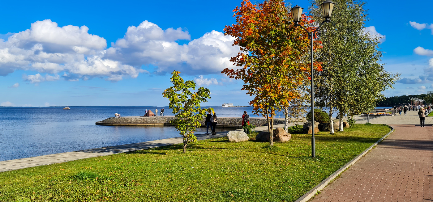 Новая жизнь