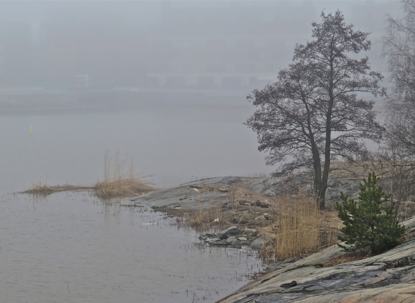 Вешний берег