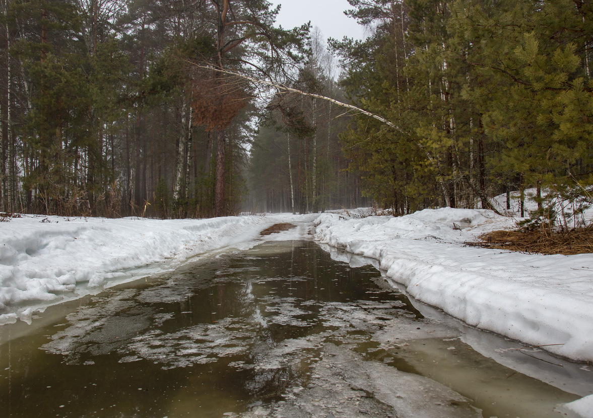 Апрельские лужи